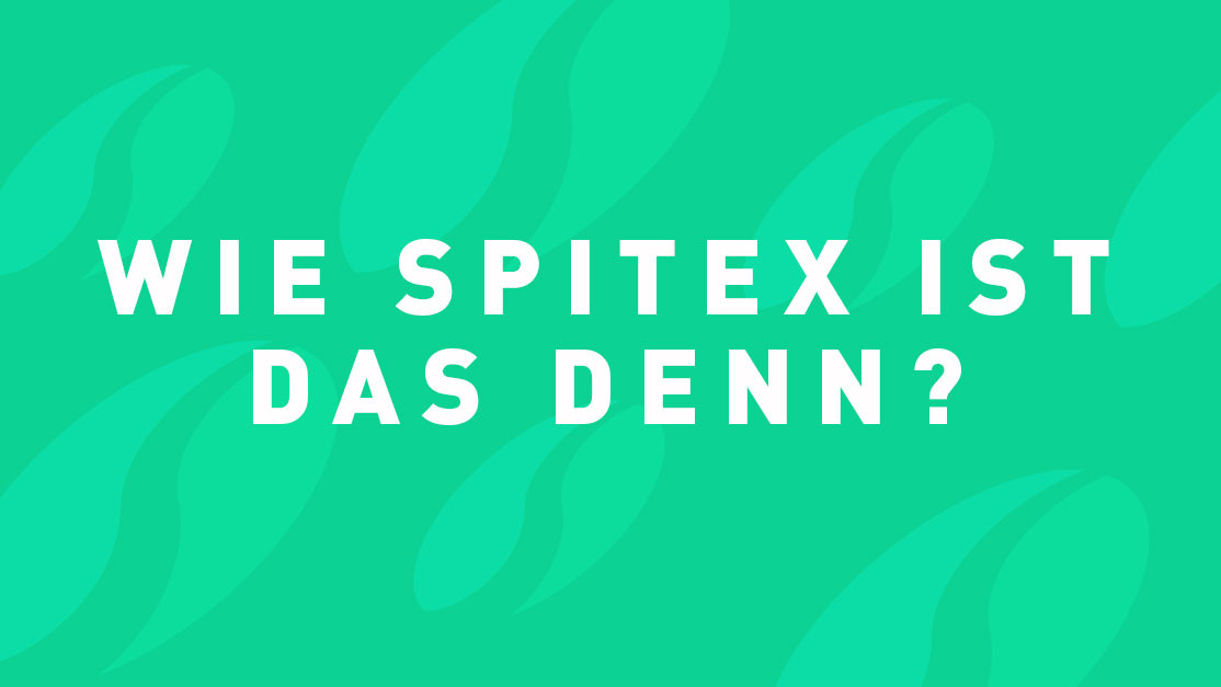 SPITEX Organisationen Kanton Bern